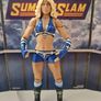 WWE Mattel Elite Wrestling Figures IO Sky Carmello Hayes MORE Image 4