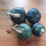 Winter Squash 'Buttercup' Irish Seeds Image 2
