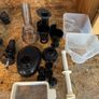 Omega J8006HD6 cold press Juicer Image 3