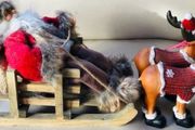 Christmas Santa and Reindeers