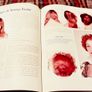 1999. Hair And Wigs For The Stage. Rosmarie Swinfield. Image 4