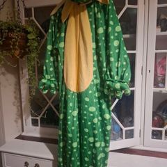 Frog costume age 5-7