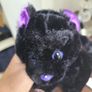 Halloween Scary Cat Image 3
