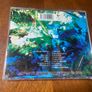 Associates Sulk CD Image 2