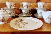 21 piece vintage tea set