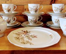 21 piece vintage tea set