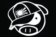 Jdm Pig Sticker