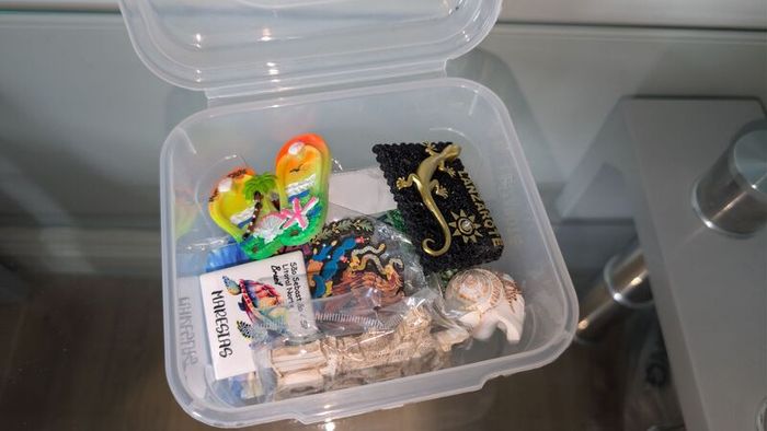 Travel Fridge Magnet Collection