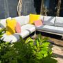 Sun loungers Image 3