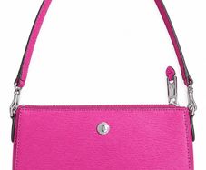 clutch/cross body bag