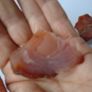 Raw Carnelian, Crystals, Gemstones, Carnelian Image 4