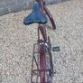 Adults Bike Image 7