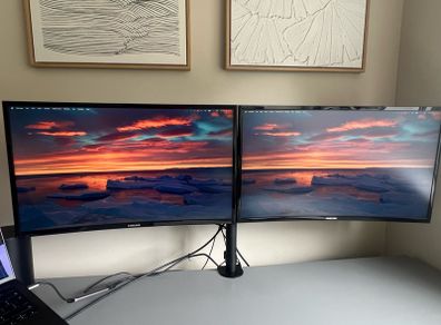 Samsung Dual Monitors (C27F390 x 2)