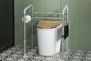 Toilet Safety Frame