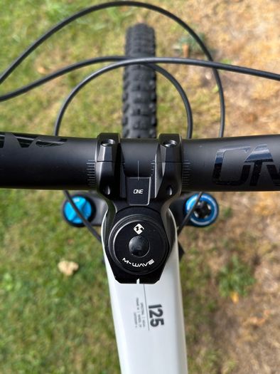 Canyon Spectral 125 CF 9 2023