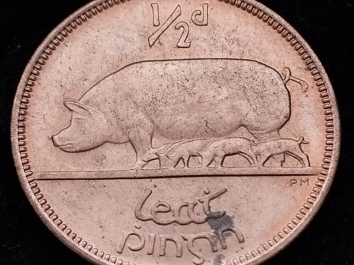 [#2669] - Ireland 1967 | Irish 1/2d | Irish Half Penny | KM.10 | UNC