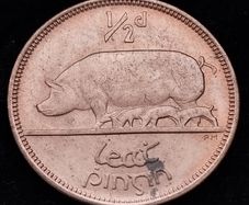[#2669] - Ireland 1967 | Irish 1/2d | Irish Half Penny | KM.10 | UNC