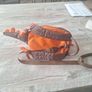 little life dinosaur backpack and hand strap Image 2