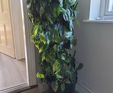 Interior planter