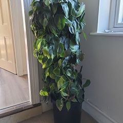 Interior planter