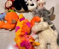 soft toys