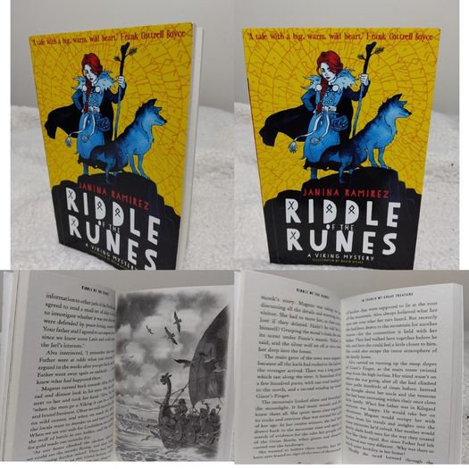 Riddle Of The Runes Children,s Book