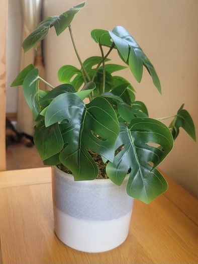 Artificial Monstera Plants in Ceramic Pots x 2