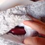 puppy start kit with heartbeat teddy Image 6