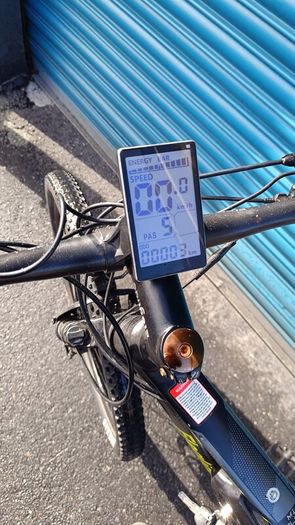 Eleglide M1 Plus electric mountain bike