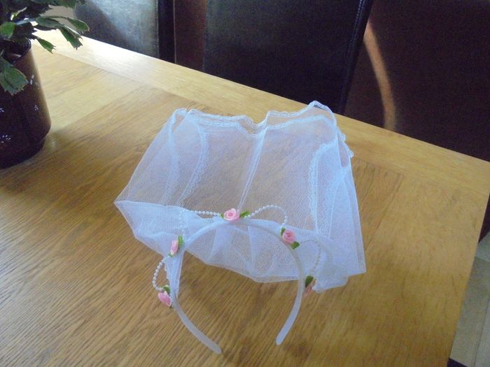 Bride to Be Veil for Sale