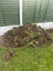 soil