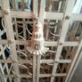 Wine Rack Image 3