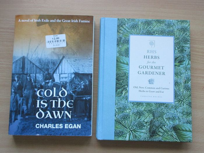 Bulk Lot Collection of 34 Assorted Irish Interest, History - People Places & Events, and Classic Books