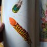 Watercolour Techniques By Frieda Hard. Paperback In Good Condition. Image 9