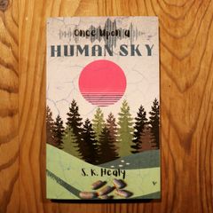 Once Upon a Human Sky (YA Book)