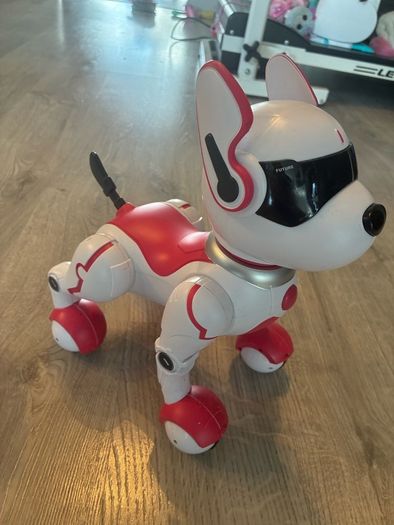 Zoey the Robo Dog