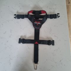 Dog car seat belt
