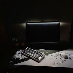 Gaming setup