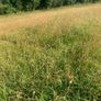Silage bales Image 5