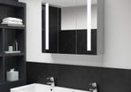 LED Bathroom Mirror Cabinet 89x14x62 cm