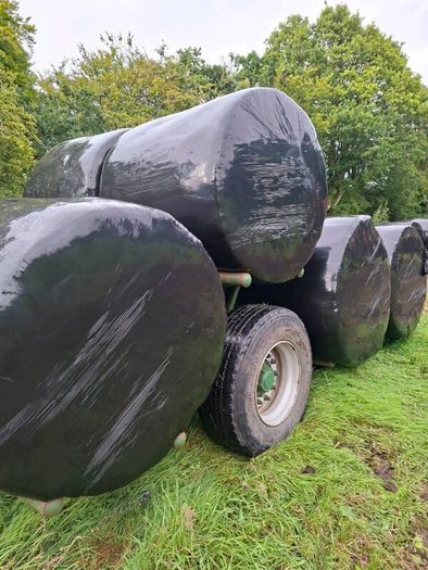 Bales silage