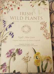Irish Wild Plants: Myths, Legends and Folklore by Niall Mac Coitir and Grania Langrishe