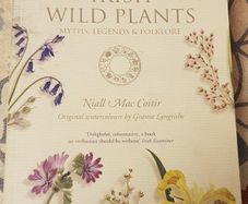 Irish Wild Plants: Myths, Legends and Folklore by Niall Mac Coitir and Grania Langrishe