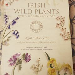 Irish Wild Plants: Myths, Legends and Folklore by Niall Mac Coitir and Grania Langrishe