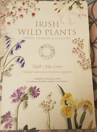 Irish Wild Plants: Myths, Legends and Folklore by Niall Mac Coitir and Grania Langrishe
