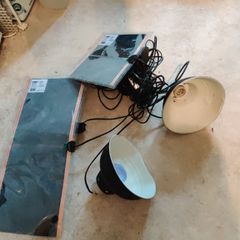 heat mat and light for pets and reptiles