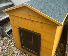 dog kennel
