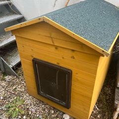 dog kennel