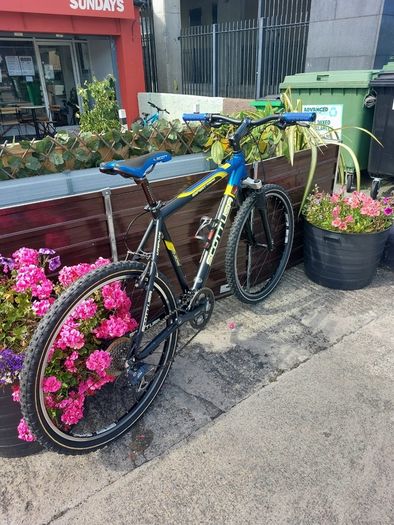 Scott expert racing mountain bike