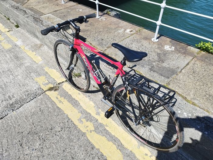Paganini Hybrid Bike
